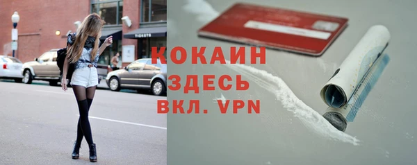 прущие грибы Костерёво
