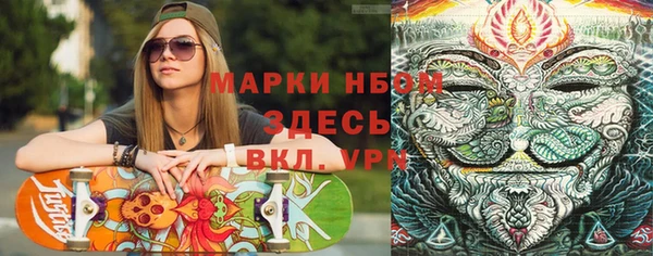 прущие грибы Костерёво