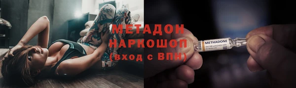 прущие грибы Костерёво