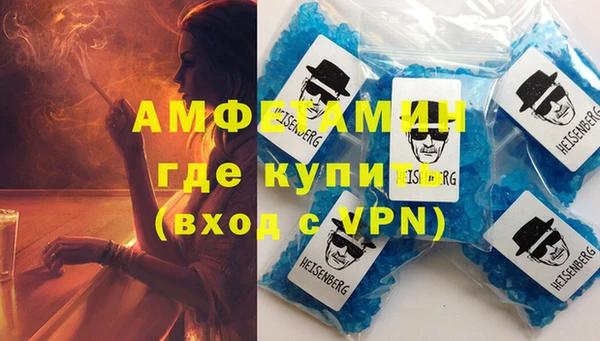 прущие грибы Костерёво