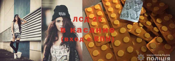 прущие грибы Костерёво