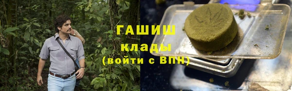прущие грибы Костерёво