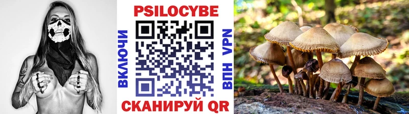 Псилоцибиновые грибы Magic Shrooms  Серпухов 